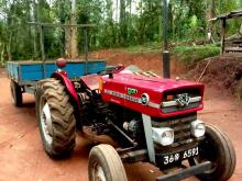 Massey-Ferguson 135 DL 1980 Tractor