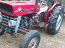 https://riyasewana.com/uploads/massey-ferguson-135-dl-26942566626.jpg