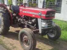 Massey-Ferguson 135 DL 1981 Tractor
