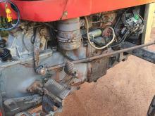 Massey-Ferguson 135 Dl 1980 Tractor