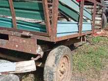 Massey-Ferguson 135 Tariler 2021 Tractor