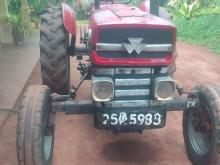 Massey-Ferguson 135 D 1980 Tractor