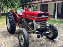 Massey-Ferguson 135D 1971 Tractor