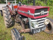 Massey-Ferguson 135D 1969 Tractor