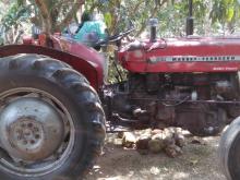 Massey-Ferguson 135 DL 1981 Tractor