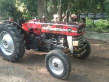 Massey-Ferguson 135 Dl 1989 Tractor