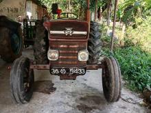 Massey-Ferguson 135 DL 1980 Tractor