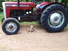 https://riyasewana.com/uploads/massey-ferguson-240-1221373724182.jpg