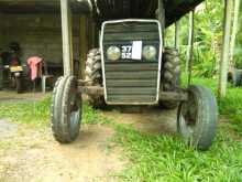 https://riyasewana.com/uploads/massey-ferguson-240-172146304731.jpg