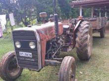 Massey-Ferguson 240 1983 Tractor