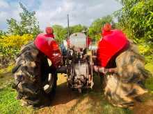 https://riyasewana.com/uploads/massey-ferguson-240-1984-2017210712093.jpg