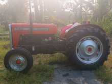 https://riyasewana.com/uploads/massey-ferguson-240-1984-2818140612842.jpg