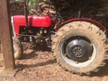 https://riyasewana.com/uploads/massey-ferguson-240-8152543852.jpg
