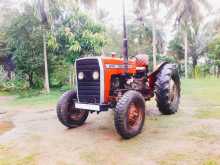 Massey-Ferguson 240 MF 1979 Tractor