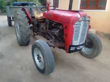 Massey-Ferguson 35 X 2019 Tractor