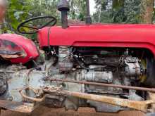 https://riyasewana.com/uploads/massey-ferguson-35x-1964-511521812852.jpg