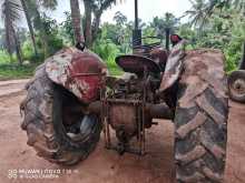 https://riyasewana.com/uploads/massey-ferguson-35x-1967-256322512164.jpg