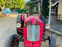 Massey-Ferguson 35X 1980 Tractor