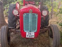 Massey-Ferguson 533 1980 Tractor