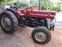 Massey-Ferguson 135 2017 Tractor