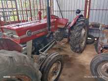 https://riyasewana.com/uploads/massey-ferguson-d-6105802242.jpg