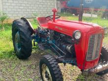 Massey-Ferguson Imt 1985 Tractor