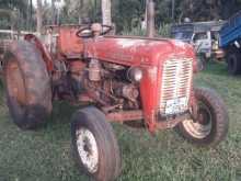 Massey-Ferguson IMT 1995 Tractor