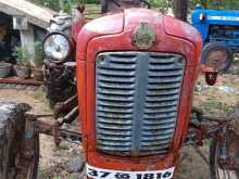 Massey-Ferguson IMT 533 1982 Tractor
