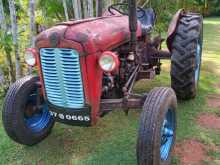 Massey-Ferguson IMT 533 1980 Tractor