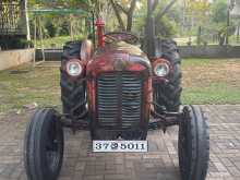 Massey-Ferguson IMT 539 1985 Tractor