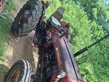 Massey-Ferguson IMT 539 Diluxe 1996 Tractor