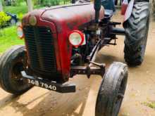 Massey-Ferguson IMT533 1980 Tractor