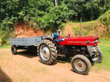 Massey-Ferguson Massey- Ferguson 135 D 1965 Tractor