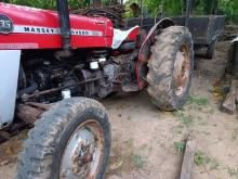 https://riyasewana.com/uploads/massey-ferguson-massey-ferguson-141853386722.jpg