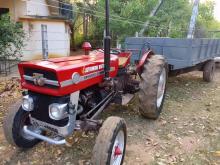 Massey-Ferguson Mf 135 1980 Tractor