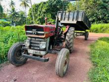 Massey-Ferguson Mf 135 1980 Heavy-Duty