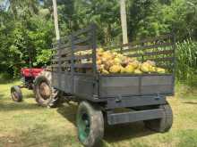 https://riyasewana.com/uploads/massey-ferguson-mf-135-1969-1511085912223.jpg