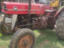 Massey-Ferguson MF 135 D Heavy 1978 Tractor