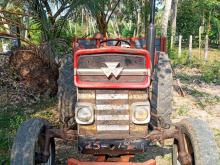Massey-Ferguson MF 135 1980 Tractor