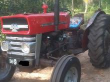 Massey-Ferguson MF135 1980 Tractor