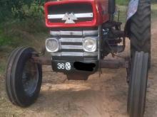 Massey-Ferguson MF135 1980 Tractor