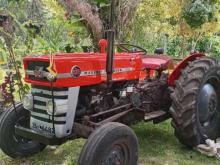 Massey-Ferguson MF135 1968 Tractor