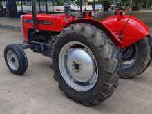 https://riyasewana.com/uploads/massey-ferguson-mf240-2816013632.jpg