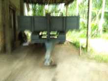 https://riyasewana.com/uploads/massey-ferguson-tailer-11756064403.jpg