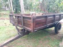 https://riyasewana.com/uploads/massey-ferguson-tailor-2020-2510121812323.jpg