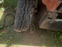 https://riyasewana.com/uploads/massey-ferguson-taktar-telar-19113536441269.jpg