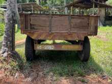 https://riyasewana.com/uploads/massey-ferguson-taylor-42000574013.jpg