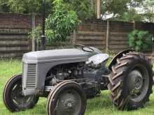 Massey-Ferguson TE 20 1956 Tractor