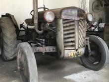 Massey-Ferguson TE20 1952 Tractor