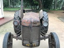 Massey-Ferguson TE20 1952 Tractor
